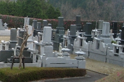 自由墓所