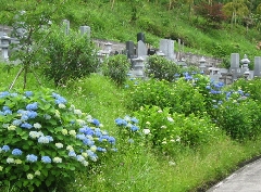本堂脇墓地
